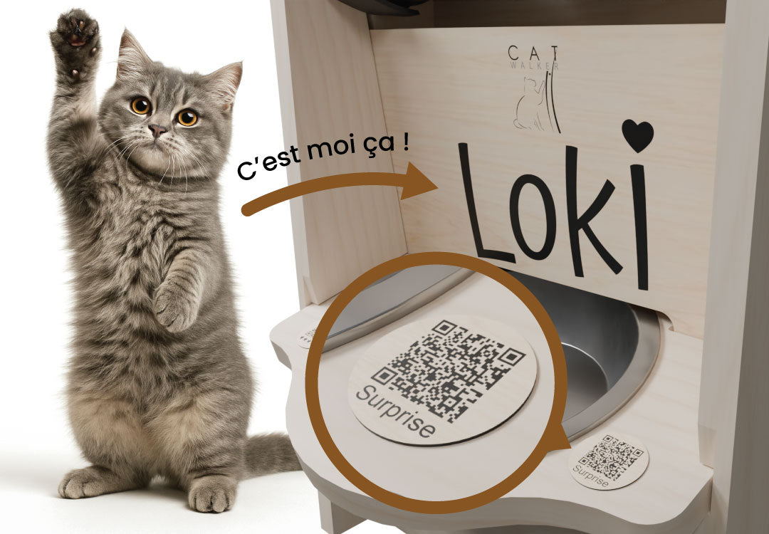 Catwalker Screenshot Maker Essaye en Réalité Augmentée – CatWalker