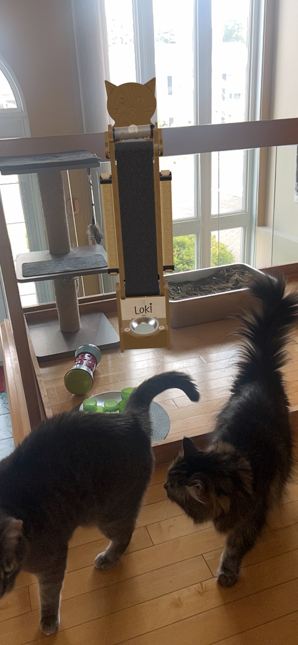 Participation CatWalker de Judith